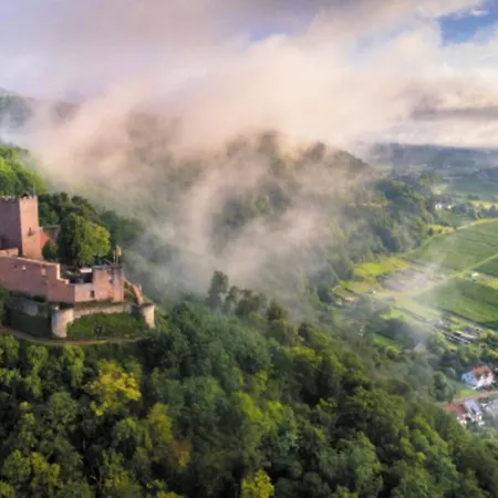 Porzelt -ferien Im Weingut-wohnung 1 * Klingenmuenster