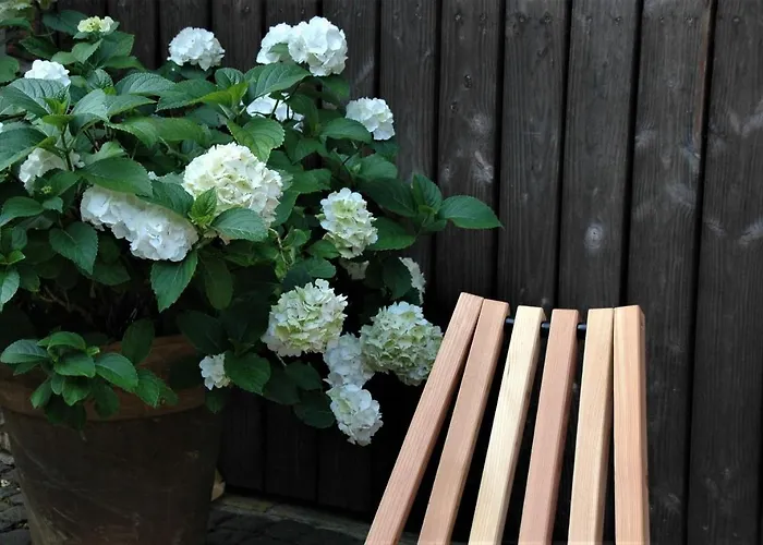 Apartamento Porzelt 1 Klingenmünster