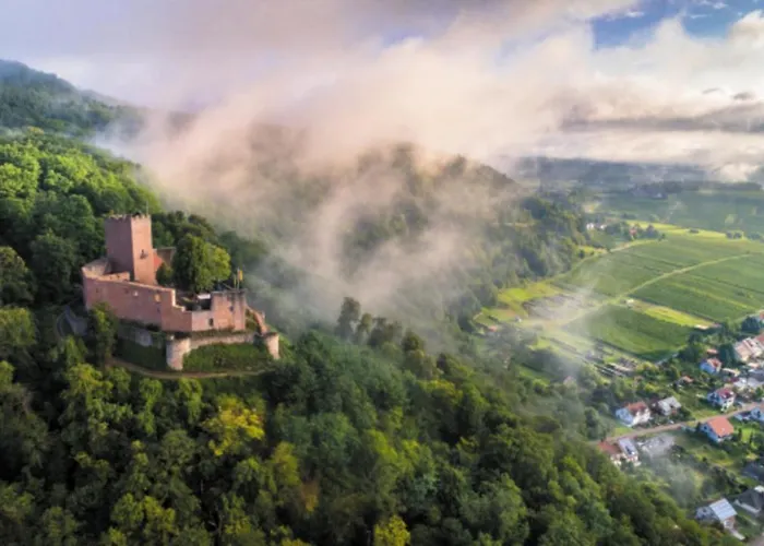 Porzelt 1 * Klingenmünster