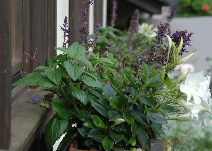 Apartamento Porzelt 1